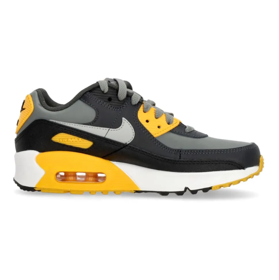 Air Max 90