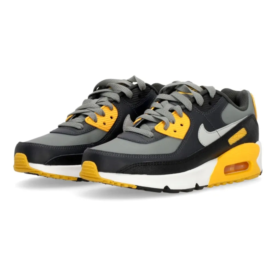 Air Max 90