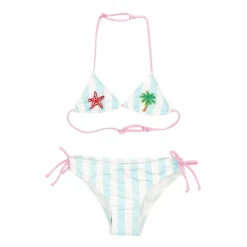 Bikini Triángulo