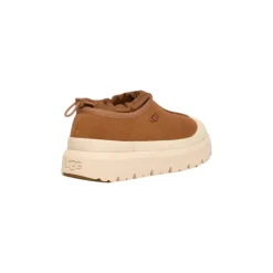Botas Tasman Weather Hybrid Chestnut / Whitecap