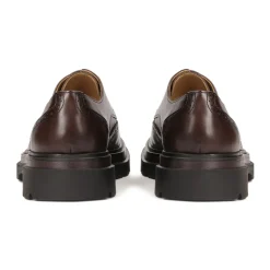 BROGUES marrones de estilo derby con adorno calado