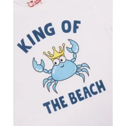 Camiseta con estampado frontal y bordado