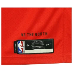 Camiseta de Baloncesto sin Mangas Toronto Raptors