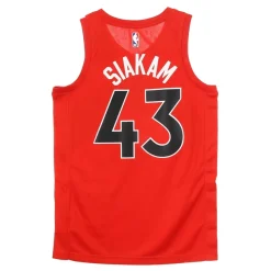 Camiseta de Baloncesto sin Mangas Toronto Raptors