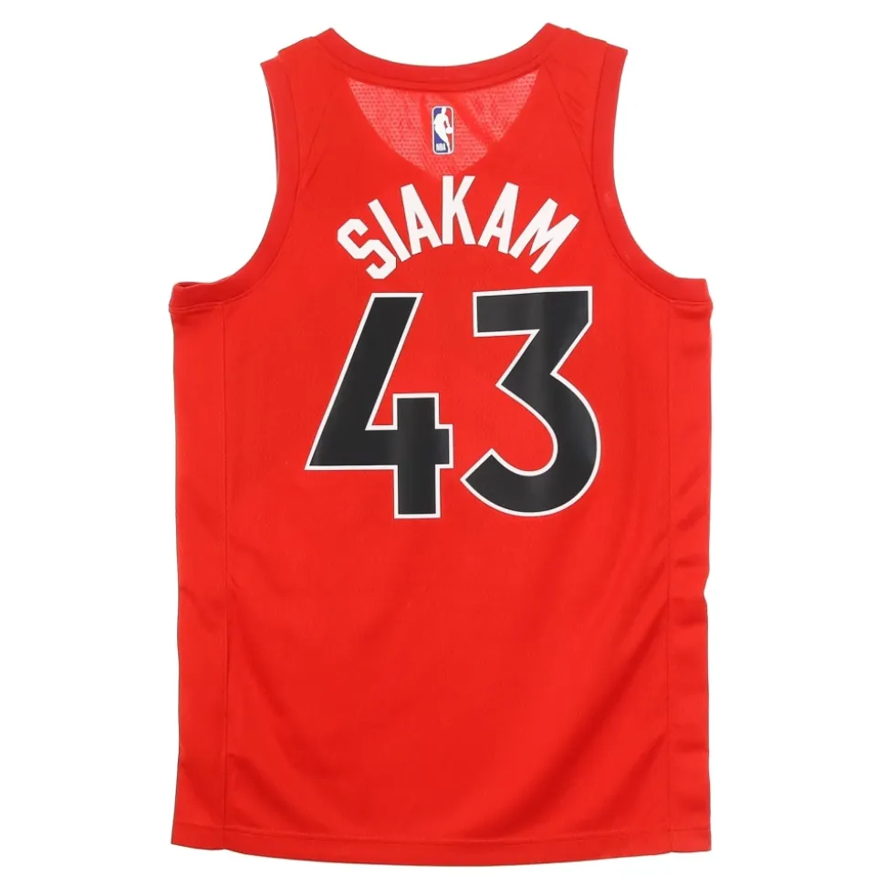 Camiseta de Baloncesto sin Mangas Toronto Raptors
