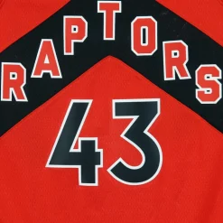 Camiseta de Baloncesto sin Mangas Toronto Raptors