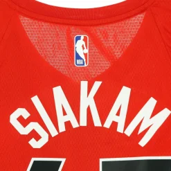 Camiseta de Baloncesto sin Mangas Toronto Raptors