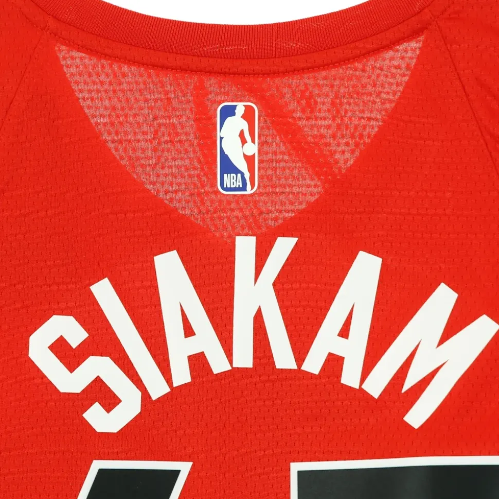 Camiseta de Baloncesto sin Mangas Toronto Raptors