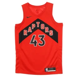 Camiseta de Baloncesto sin Mangas Toronto Raptors
