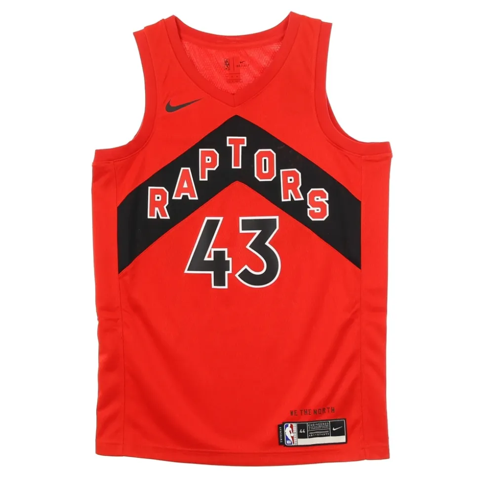Camiseta de Baloncesto sin Mangas Toronto Raptors