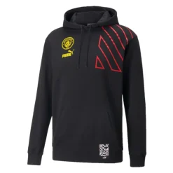 Chándal Manchester City FC FTBLTURE