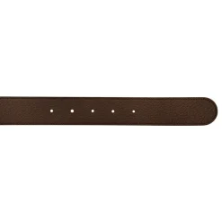 Cinturón