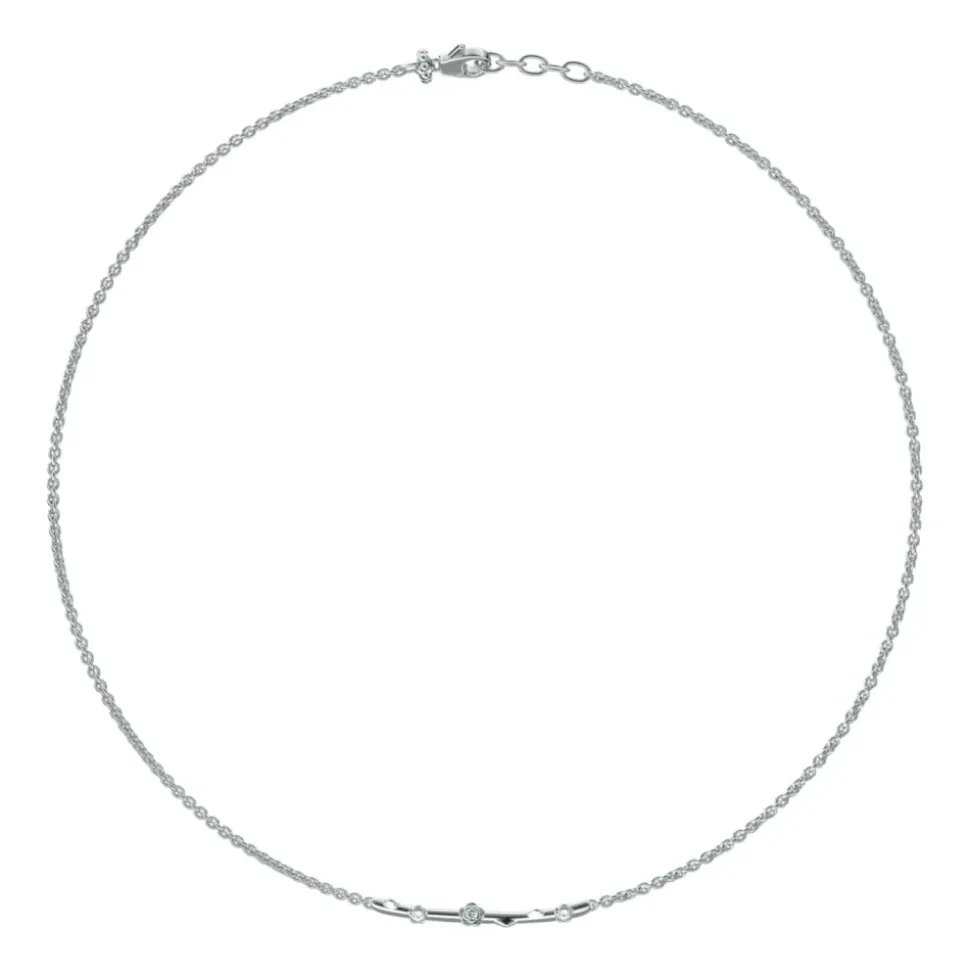 Collar con rosas y puntos de luz