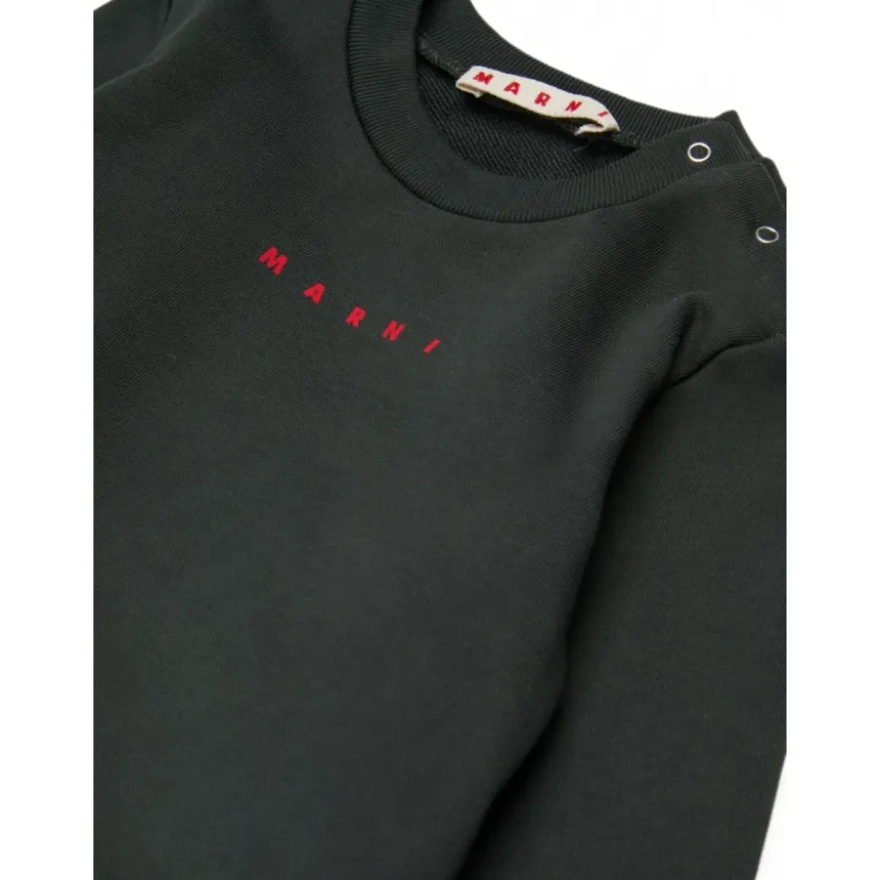 Conjunto Deportivo