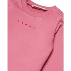 Conjunto deportivo