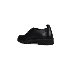 Derbies