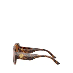 DX4012 Sunglasses