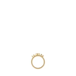 Elegante Anillo Dorado de Plata 925