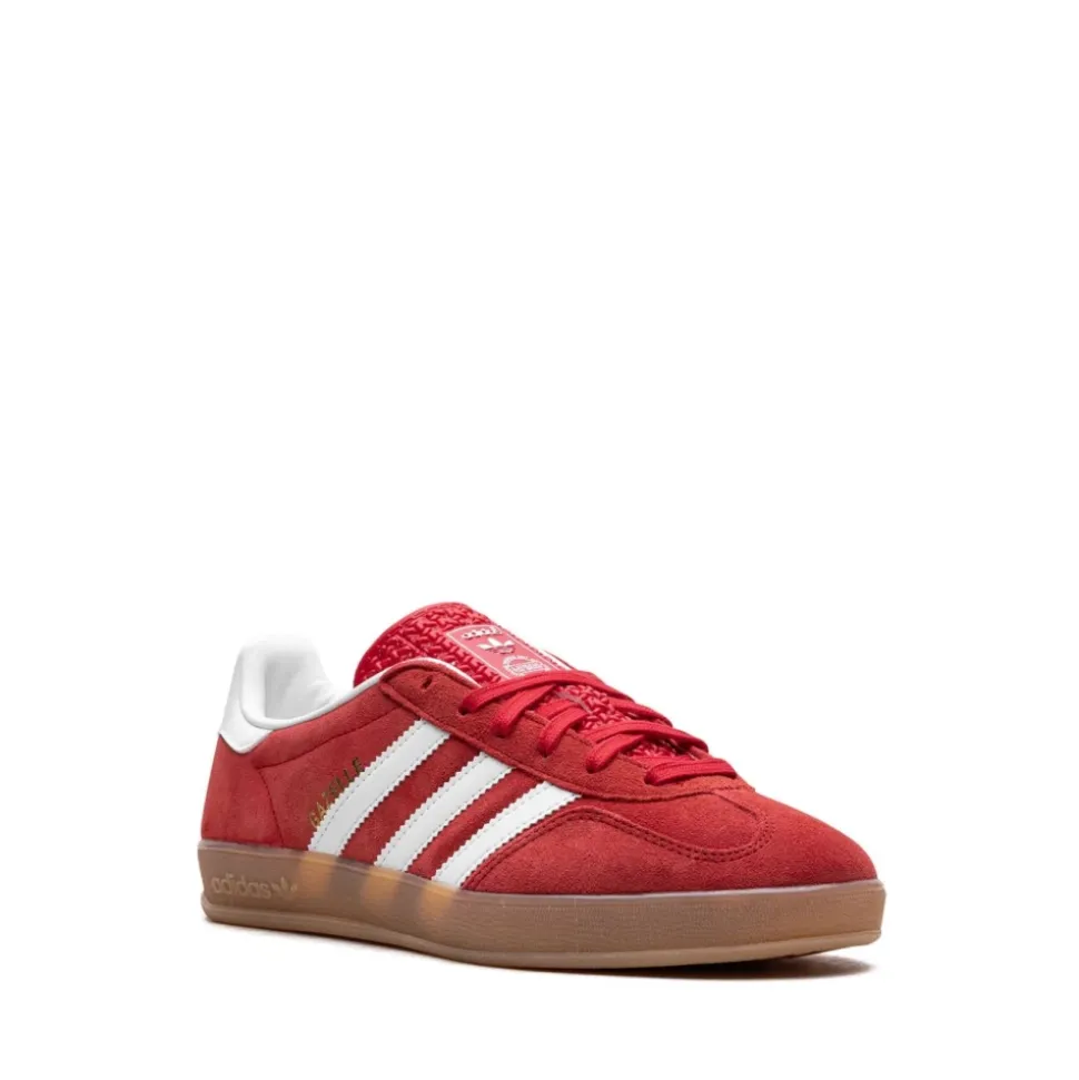 Gazelle Indoor