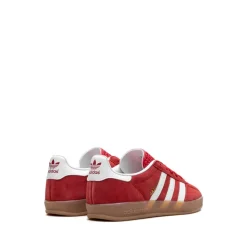 Gazelle Indoor