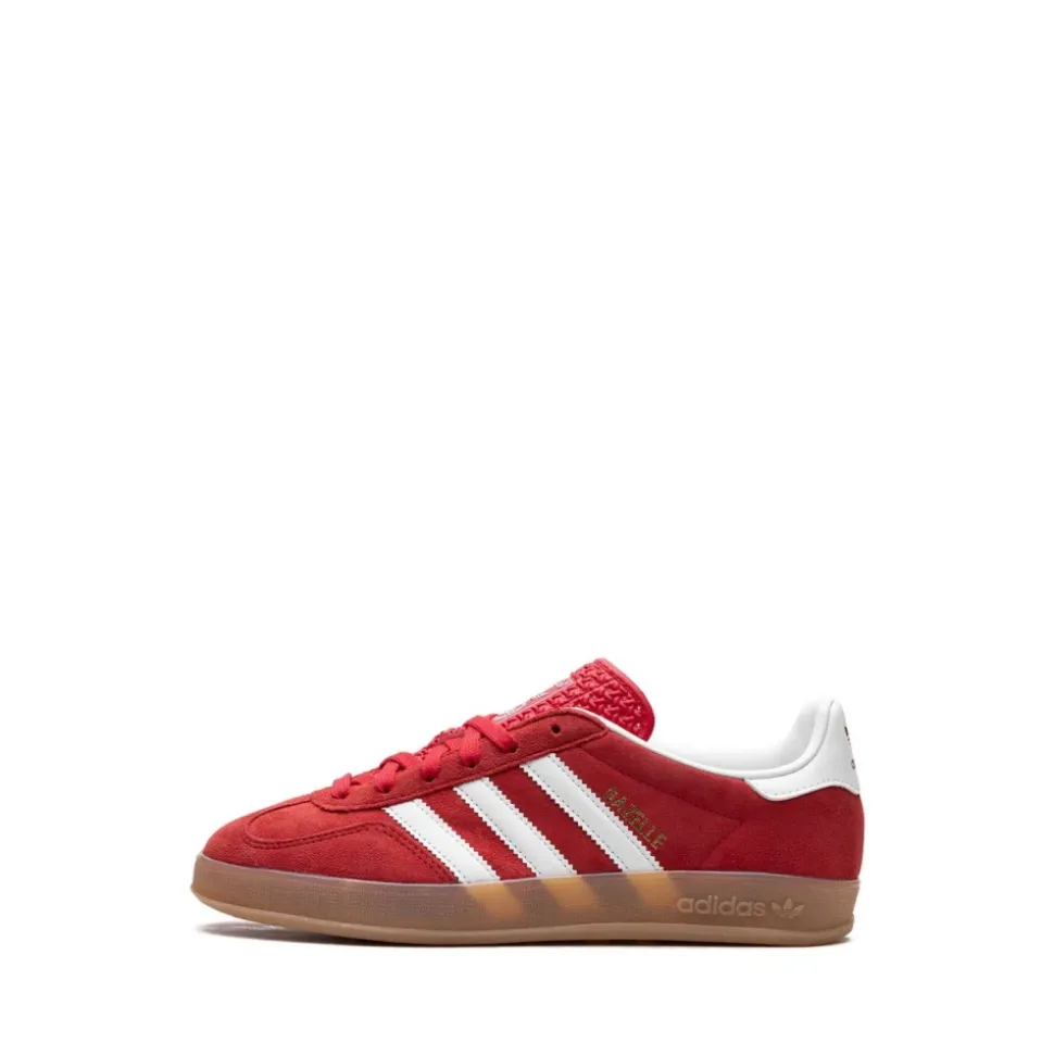 Gazelle Indoor
