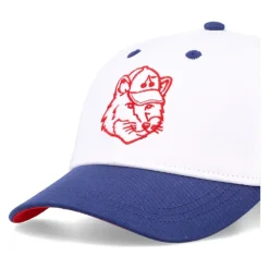 Gorra Fox