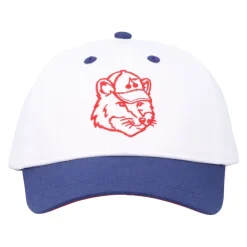 Gorra Fox