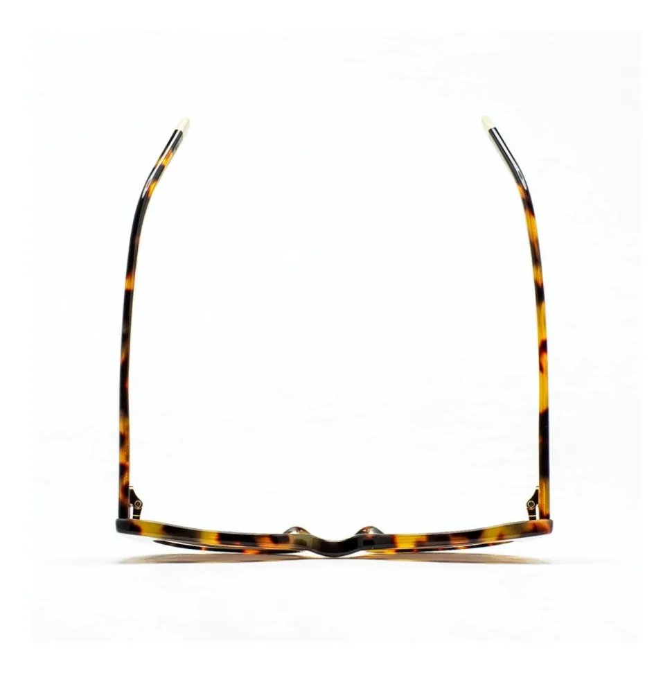 HOPPS 002 Sunglasses