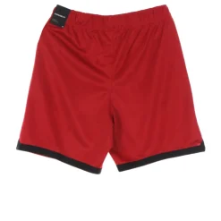 Pantalones Cortos de Baloncesto de Punto con Gráfico