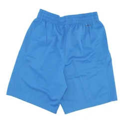 Pantalones Cortos de Baloncesto Limited Road