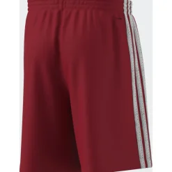 Pantalones Cortos de Entrenamiento