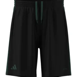 Pantalones Cortos de Entrenamiento