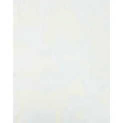 Pañuelo de Seda Cuadrado