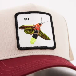 Sombreros y Gorras Estilosos