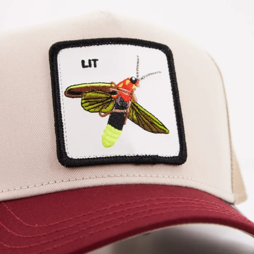 Sombreros y Gorras Estilosos