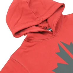 Sudadera con Capucha