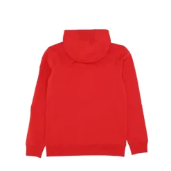Sudadera con capucha DF Club Fleece