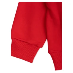 SVELLYHOOD OVER Sudadera