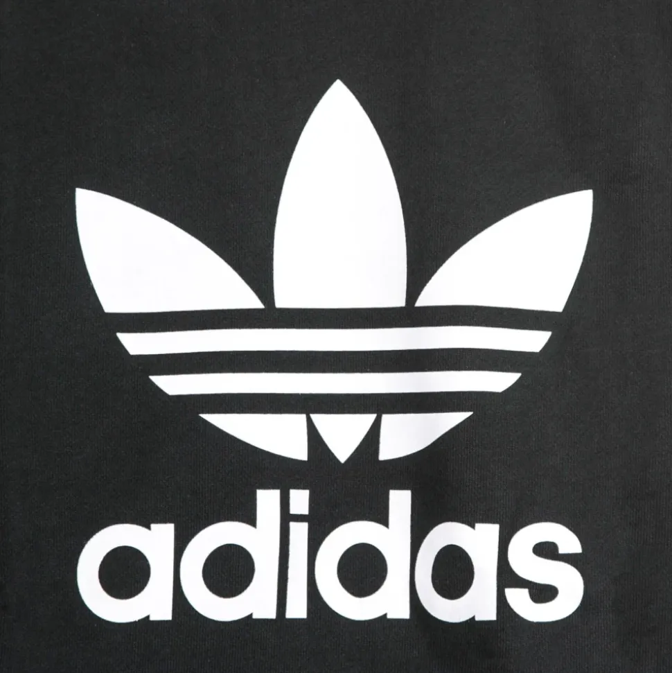 Sweatshirts & Hoodies