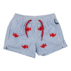 Swimming Trunks