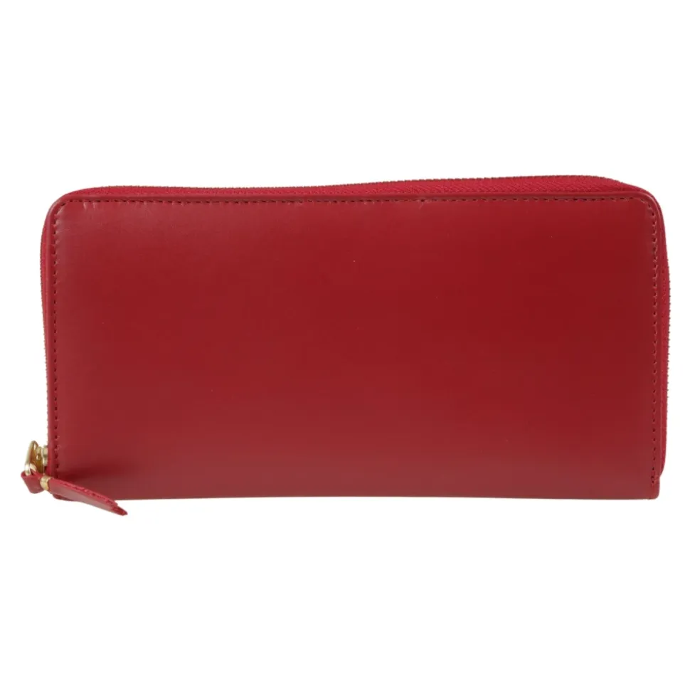 Wallets & Cardholders