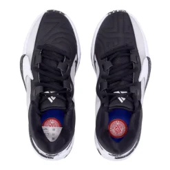 Zapatillas de Baloncesto Zoom Freak 5