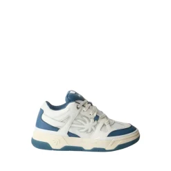 Zapatillas de Skate