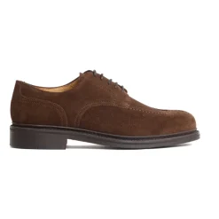 Zapato con Cordones 5230
