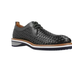 Zapato Cordones