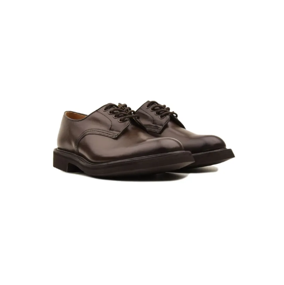 Zapato Daniel Derby