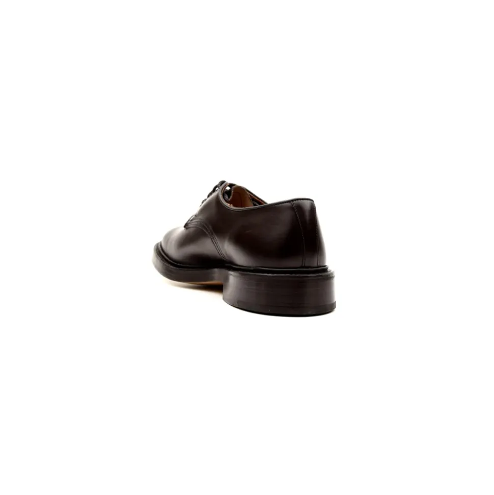 Zapato Daniel Derby