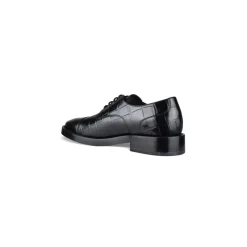 Zapato Derby