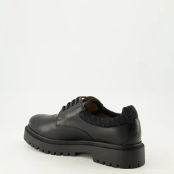 Zapato Derby Explorer III