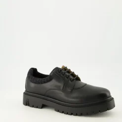 Zapato Derby Explorer III
